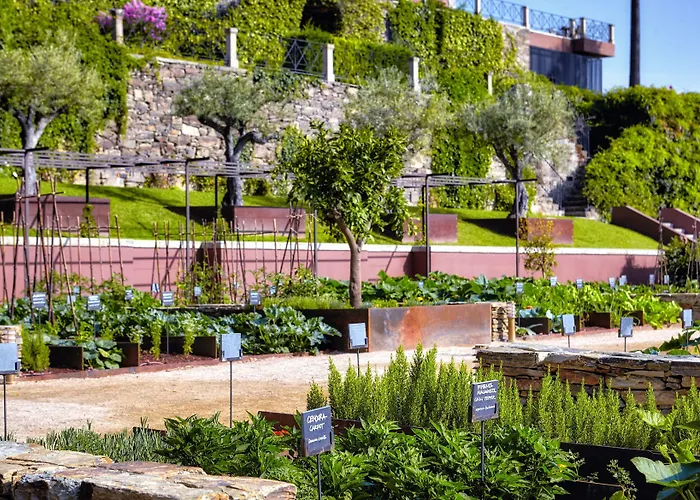 Six Senses Douro Valley